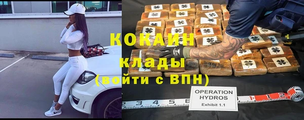 тгк Абаза